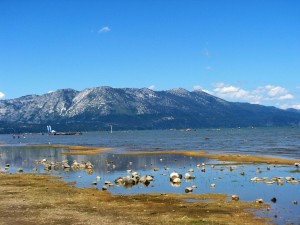 Lake at the foot of mountains